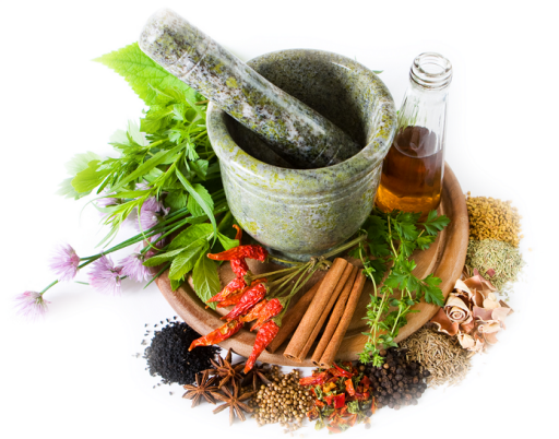 BİTKİSEL ÜRÜNLER