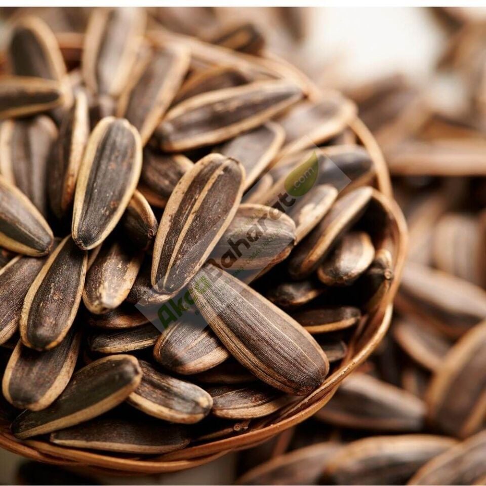 XL DAKOTA KAVRULMUŞ TUZSUZ 1 KG