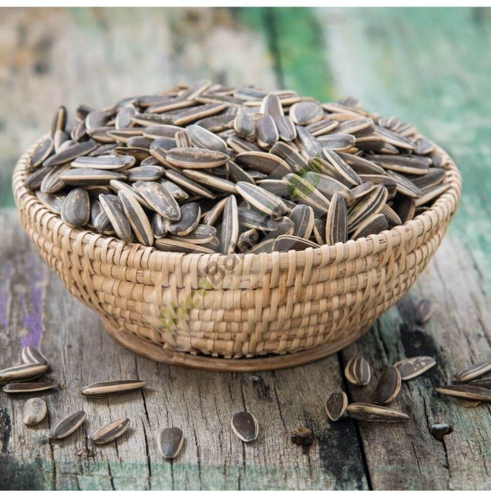 XL DAKOTA KAVRULMUŞ TUZSUZ 1 KG