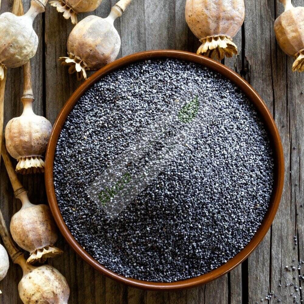 MAVİ HAŞHAŞ 100GR