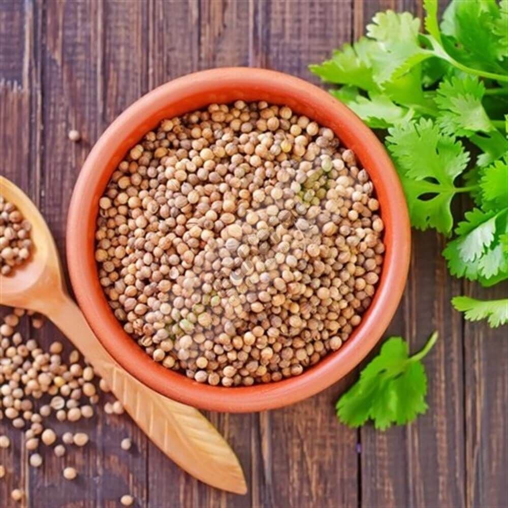 TANE KİŞNİŞ 250GR