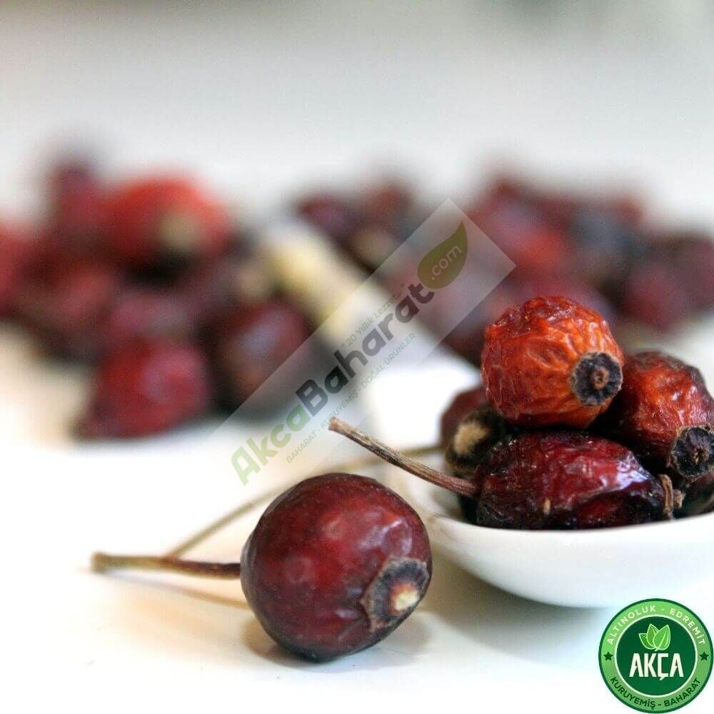 KUŞBURNU KURUSU 100GR